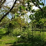 La Des Fleurs *