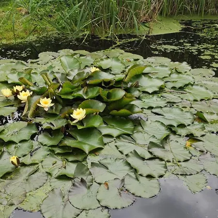 La Des Fleurs Σπίτι διακοπών *