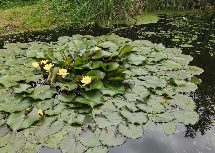 La Des Fleurs Σπίτι διακοπών *